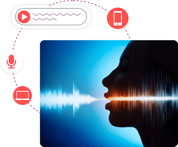 Voice Annotation