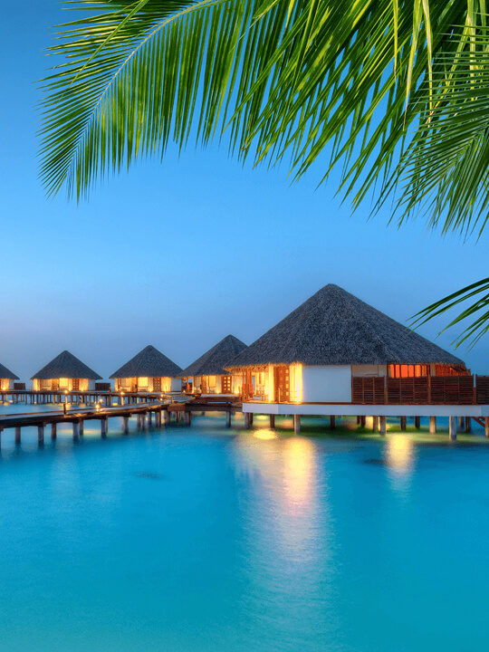 Hotels & Resorts