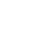 Large Language Models (LLMs)