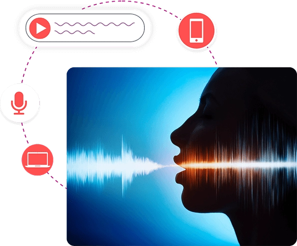 Voice Annotation